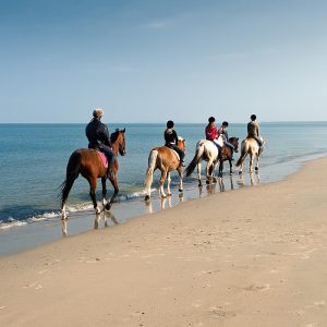 Horseback riding in Joal