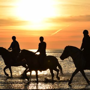 Horseback riding at Lac Rose