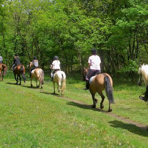 Horseback riding in Ngaparou