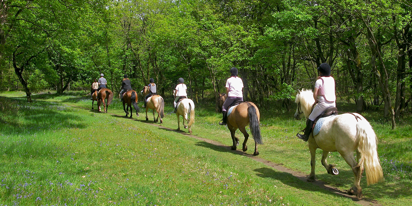 Cavaliers randonnant à cheval