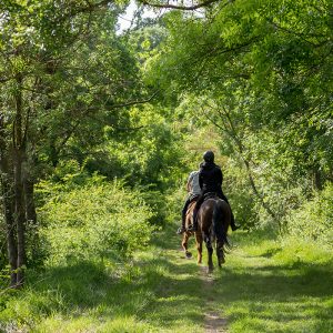 Horseback riding in Somone