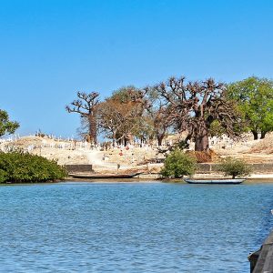 Joal birdwatching and photography safari