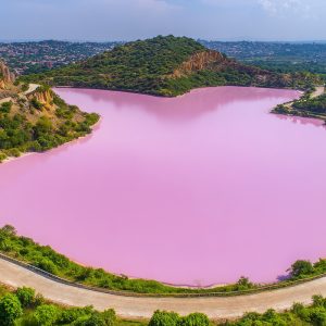 Ornithological and photographic safari at Lake Rose