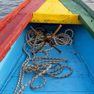 Mangrove boat trip in Saly