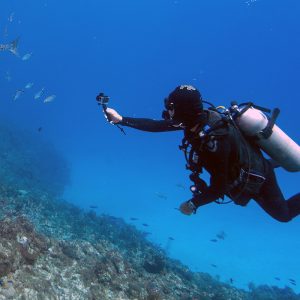 Guided snorkeling trip in Dakar