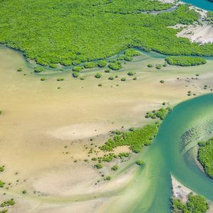 Joal nature discovery hike