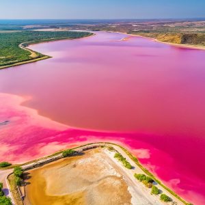 Rose Lake nature discovery hike