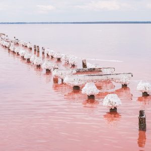 Workshop, Market, Cooking, Village (Pink Lake)
