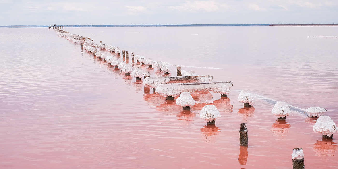 Salt pink lake