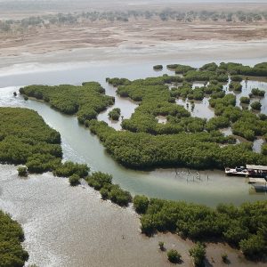 Little Coast Excursion