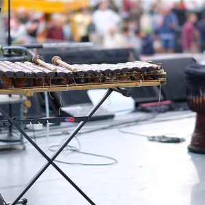 Percussion lessons (djembe sabar) Ngaparou