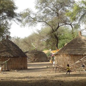 Excursion to the Bush: Sérère or peul village in Ngaparou