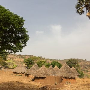 Excursion to a Serer or Fulani village in the bush of Somone