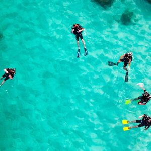 Exploratory Diving in Agadir