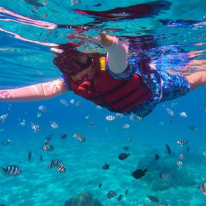 Guided snorkeling trip in Agadir