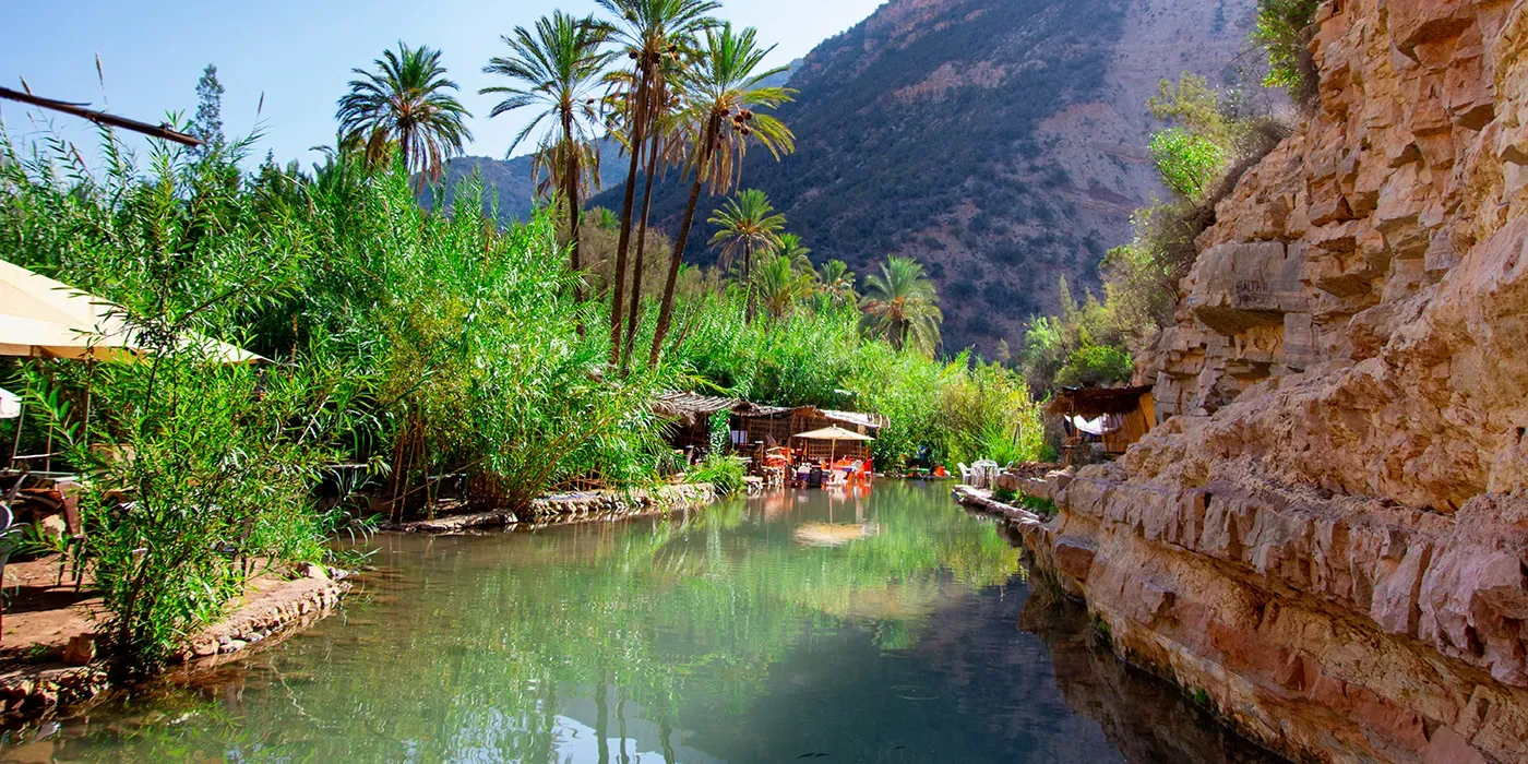 paradise
